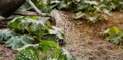 Living with PFAS ‘forever chemicals’ can be distressing. Not knowing if they’re making you sick is just the start