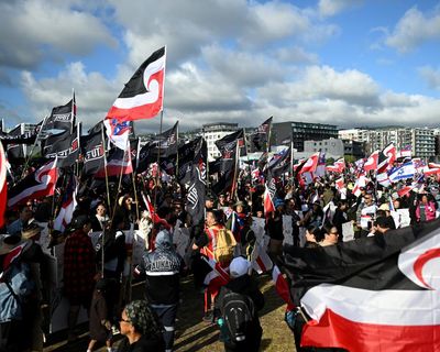 UN to hear human rights complaint over New Zealand’s treatment of Māori