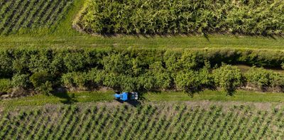 Nature, carbon, nutrition: 3 ways farming can shift from climate culprit to solution