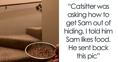 If You Can’t Think Of A Better Way To Spend Your Day Than Looking At Cat Memes, These 142 Pics Are For You