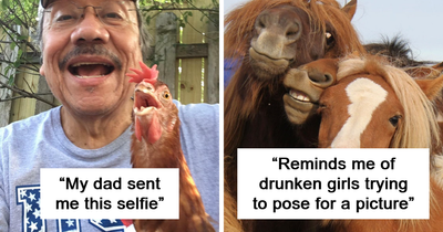 50 Funny And Wholesome Animal “Selfies” That Are So Good, They Could Be Album Covers