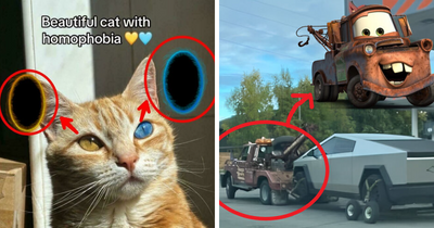 91 Things That Look Like Or Remind People Of Other Things