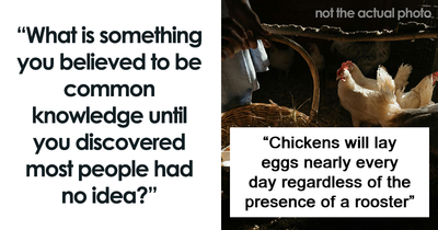 “I Didn’t Know This And Now I Feel Stupid”: 48 Pieces Of Knowledge That Were Supposed To Be Common