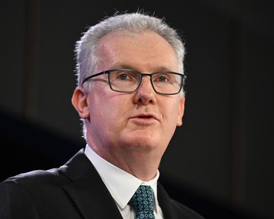 Tony Burke reviewing anti-hate laws and says South African neo-Nazi will not be allowed back into Australia