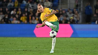 Socceroos stalwart relishes key mark in injury return