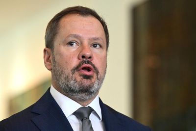 Labor MP Ed Husic urges own party to ‘pry open the jaws of Treasury’ after CSIRO announces job cuts