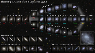 The Euclid space telescope observed 1.2 million galaxies in just 1 year. Here's what we've learned