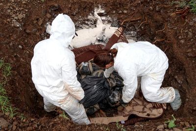 How dead pigs are helping in the search for missing victims of Mexico’s drug wars