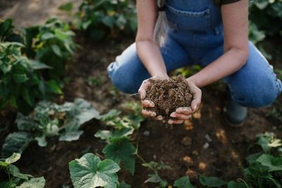 Why Soil Tilth Improves After Frost