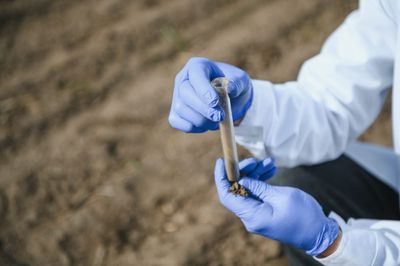 7 Soil Tests That Give the Best Results in Fall