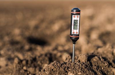 Why Gardeners Should Track Soil Temps in Autumn