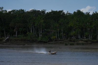 Railway project in the Amazon raises questions over Brazil's efforts to stop deforestation