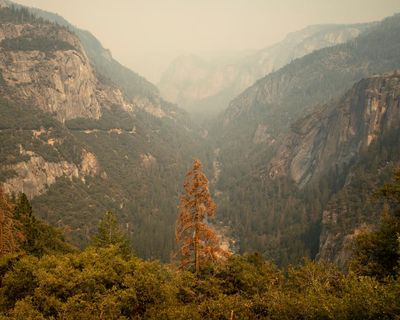 People in the US: tell us how the climate crisis has affected your life in small ways this year