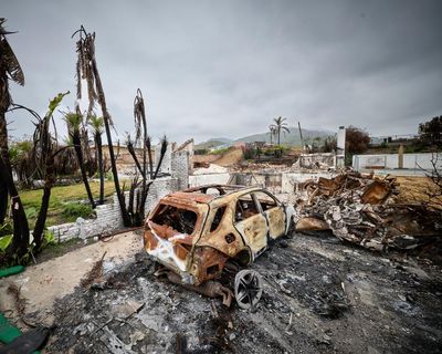 Did you lose your home in the Los Angeles wildfires? We’d like to hear how you’re spending the holidays