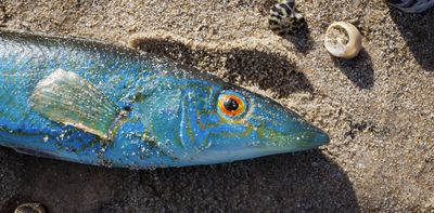 Australia’s algal bloom catastrophe has left more than 87,000 animals dead. What will happen this summer?