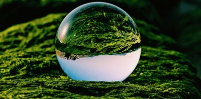 Behind every COP is a global data project that predicts Earth’s future. Here’s how it works