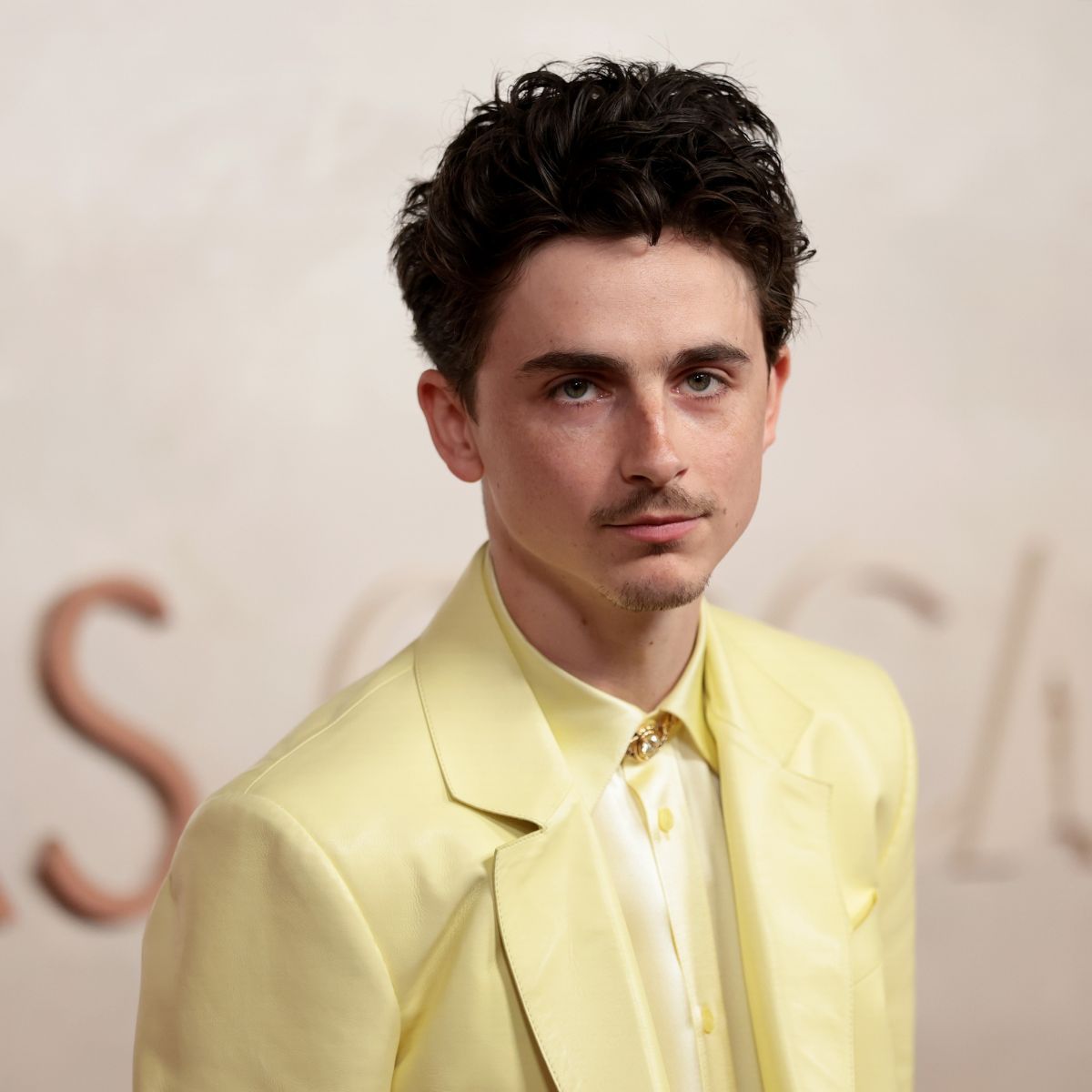 Why the Is Convinced That Timothée Chalamet…