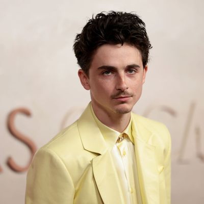 Why the Internet Is Convinced That Timothée Chalamet Has a Famous Alter Ego