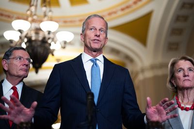 Senate GOP divided over House push to repeal payout provision - Roll Call