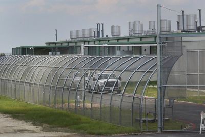 5 accused of supporting antifa plead guilty to terrorism-related offense after Texas shooting