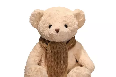 AI-powered plushie pulled from shelves after giving advice on BDSM sex and where to find knives