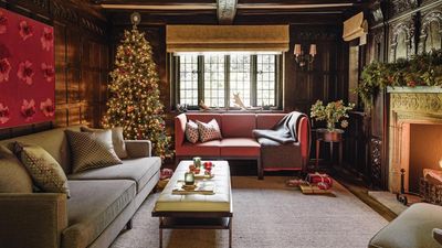 How to Care for a Christmas Tree – Your Ultimate Guide to a Lush, Long-Lasting Holiday Centerpiece
