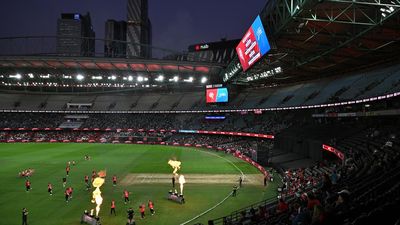 Marvel to be ready for BBL as Renegades consider move