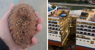 50 Interesting Pictures Showing The Insides Of Things We Rarely See (New Pics)