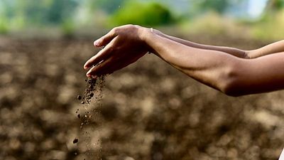 The secret to tackling the climate crisis could be right under our feet. Here’s why