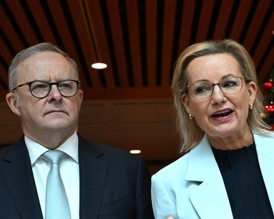 Coalition to help Labor rush through new nature laws if environmental protections dropped