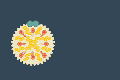 High Cholesterol Causes Explained: Essential Cholesterol Diet Tips and the Truth About LDL vs HDL