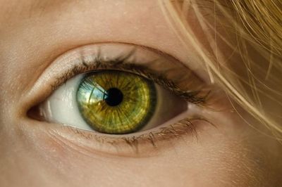 Groundbreaking study finds way to ‘reboot’ eye and restore impaired vision