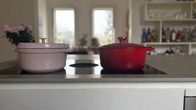 Le Creuset vs Staub: who cooks, broils and bakes best according to our tests?
