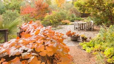 I Worked Year-Round as a Horticulturist, and These 7 Late Fall Garden Jobs Are Ones You Should Never Skip – Trust Me, Your Plants Will Thank You for It