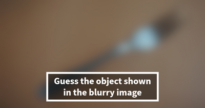 “How Sharp Is Your Vision?”: Try To Name All 25 Things Hidden In These Blurry Images