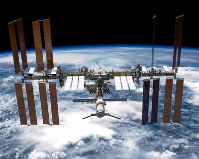 Moss in space: spores survive nine-month ride on outside of ISS