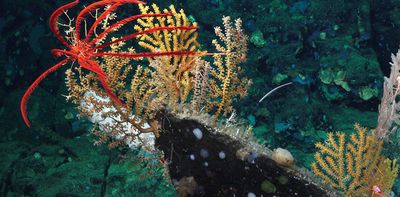 The deep sea and the Arctic must be included in efforts to tackle climate change