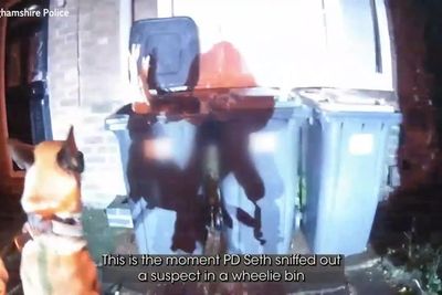 Police dog sniffs out suspect hiding in wheelie bin