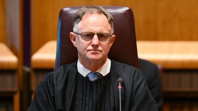 'Unsustainable': nation's leading judge sounds AI alarm