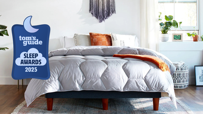 Tom's Guide Sleep Awards 2025: Best Comforter