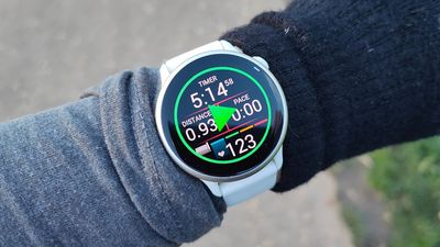 Garmin Vivoactive 6 review: A feature-stuffed pocket rocket