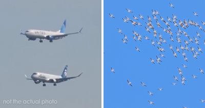 “Cabin Crew, Be Seated”: 73 Pilots Reveal Their Biggest Emergencies That The Passengers Were Oblivious To