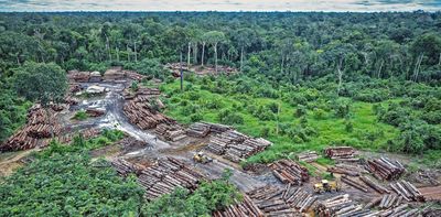 Environment and health: a connection that remains unseen in the Climate Change Conferences