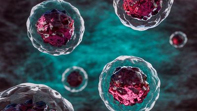 Slaying 'zombie cells' in blood vessels could be key to treating diabetes, early study finds