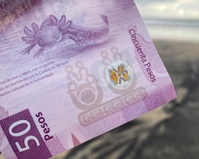A lot of axolotls: the amphibian-themed banknote Mexicans don’t want to spend