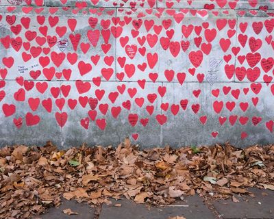 Vote for competent leaders, not entertainers – that’s what I wish the Covid report could say