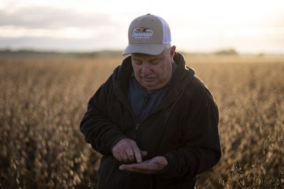 'We want to trust what we’ve heard': Farmers remain unsettled on trade, even after China’s biggest U.S. soybean purchase in two years