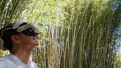 Meta just opened up its ultra-realistic photosphere alternative to everyone, and that means both Meta Quest and smartphone players can join in the same worlds together for virtual hangout sessions