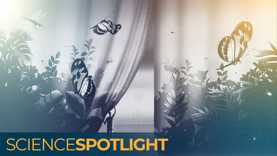 A looming 'insect apocalypse' could endanger global food supplies. Can we stop it before it's too late?