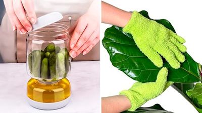 65 bizarre things under $25 on Amazon that are cool as hell